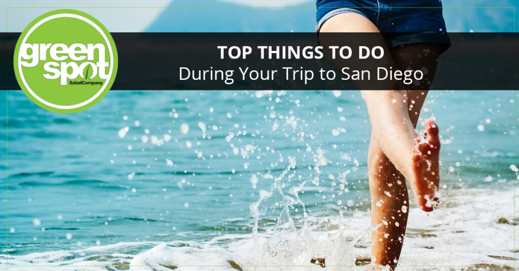TopThingsToDoDuringYourTripToSanDiego-featimg-59f0b0d256bc3